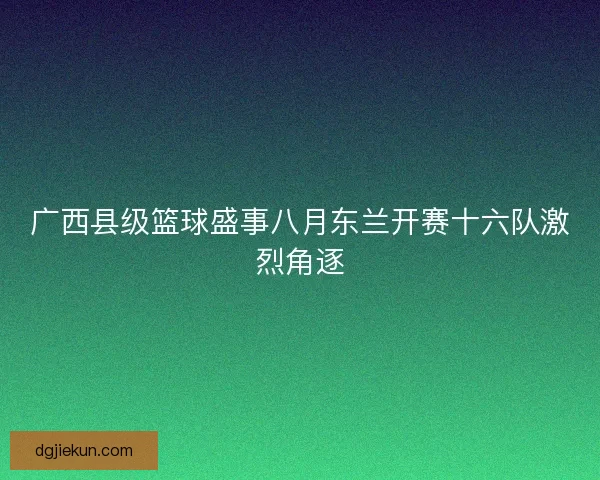 广西县级篮球盛事八月东兰开赛十六队激烈角逐
